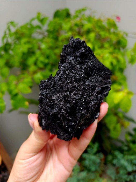 Cianita Negra - Vassoura de Bruxa