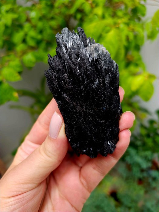 Cianita Negra - Vassoura de Bruxa