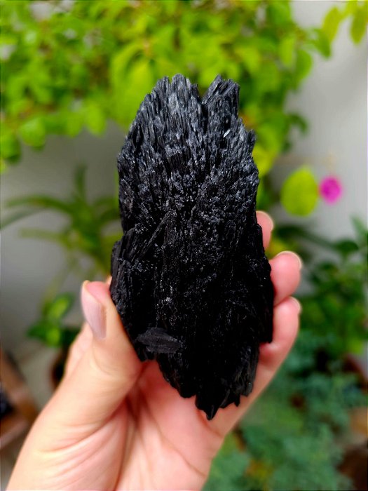 Cianita Negra - Vassoura de Bruxa