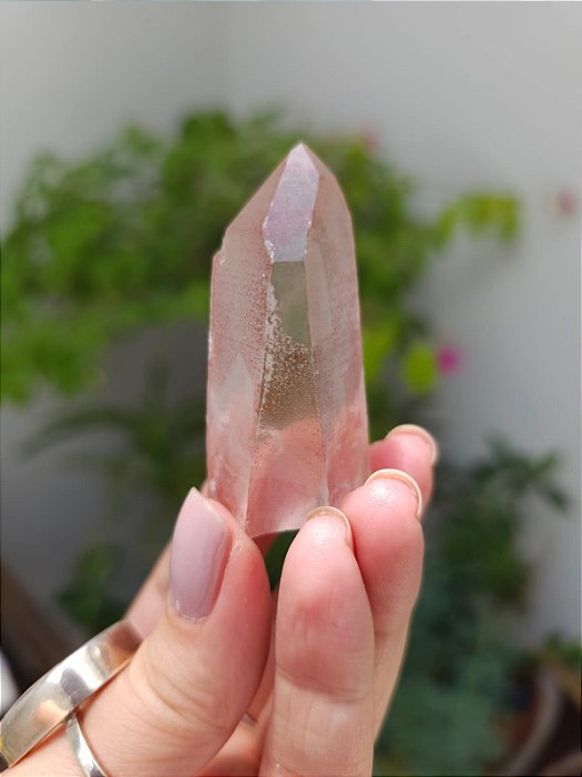 Lemuriano Rosa Canalizador