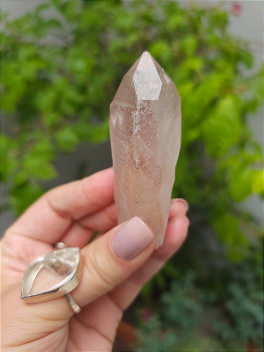 Lemuriano Ísis Rosa