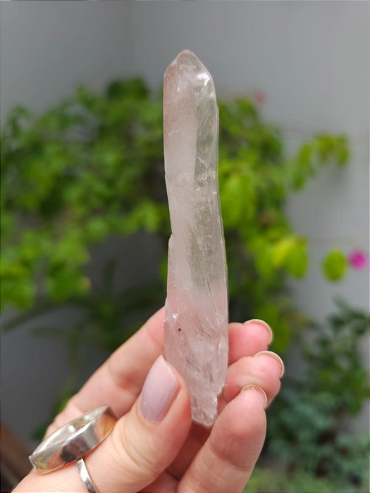 Varinha Lemuriana Rosa