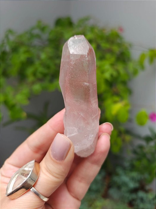 Lemuriano Rosa com Imprint