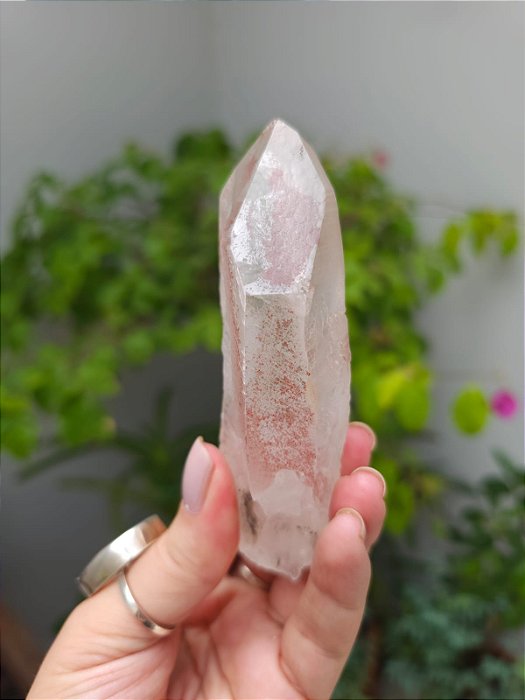 Lemuriano Rosa com Imprint