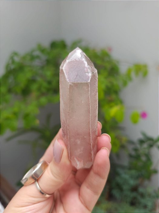 Lemuriano Rosa Canalizador