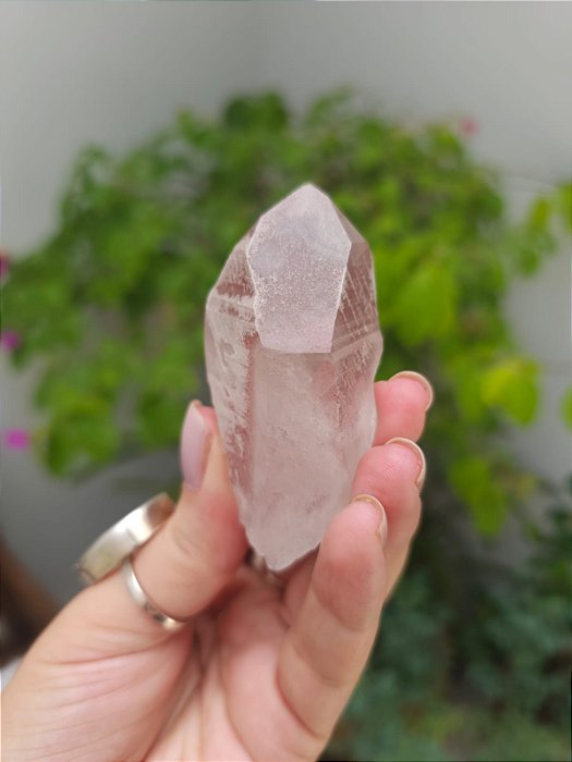 Lemuriano Rosa Canalizador