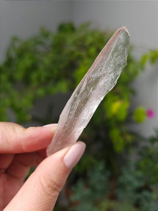 Varinha Rosa Imprint