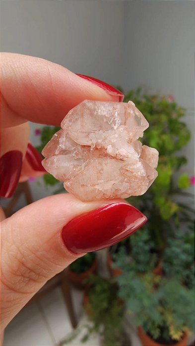 Formação Pink de Biterminados