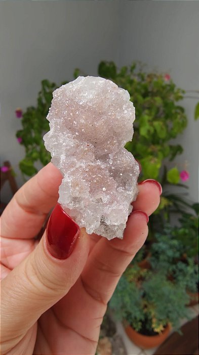 Calcedônia Sugar Rosa