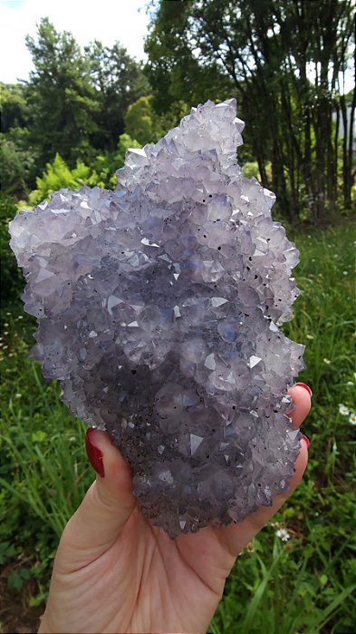 Drusa de Flores de Ametista