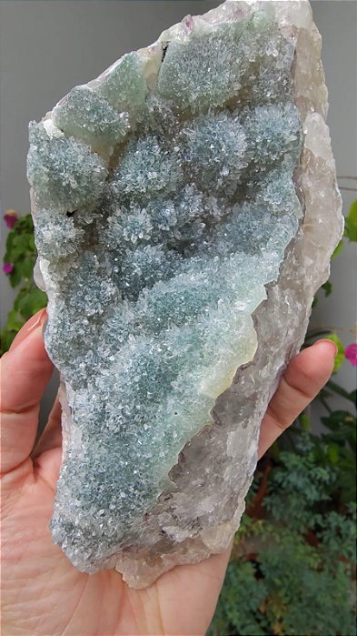 Drusa de Cristais com Ametista e Celadonita