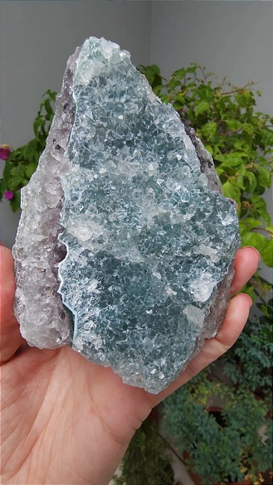 Drusa de Cristais com Ametista e Celadonita