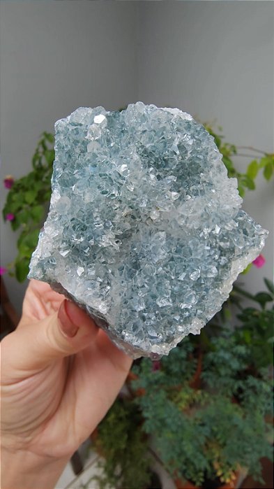 Drusa de Cristais com Ametista e Celadonita