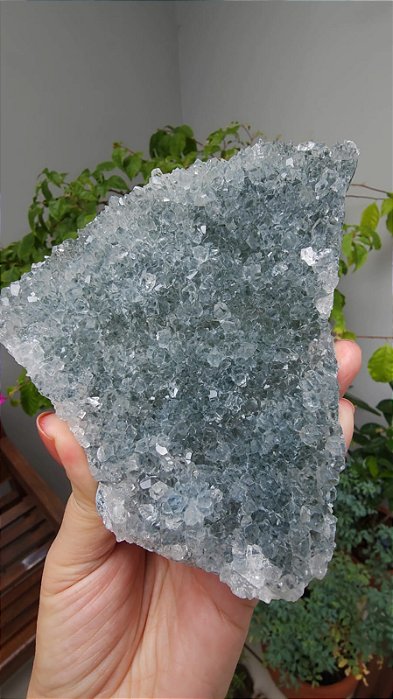 Drusa de Quartzo com Celadonita