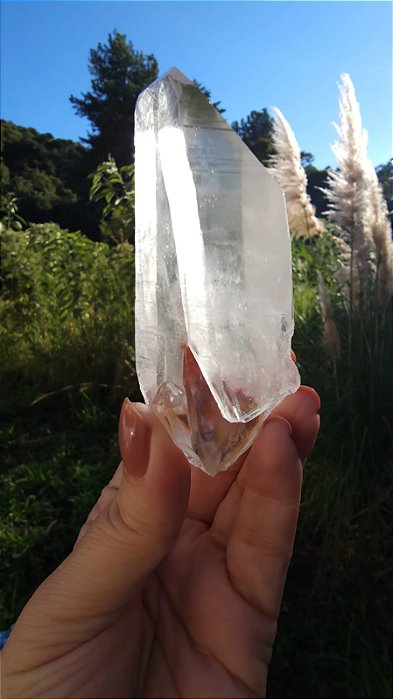 Lemuriano com Inclusão de Hematóide