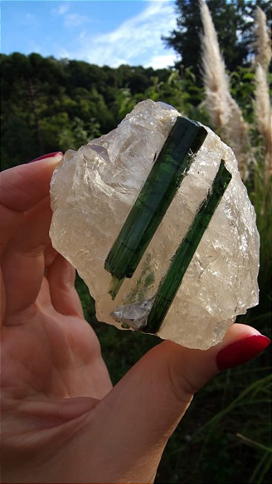Turmalina Verde no Quartzo