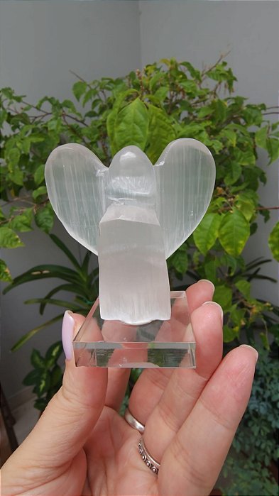 Anjo de Selenita