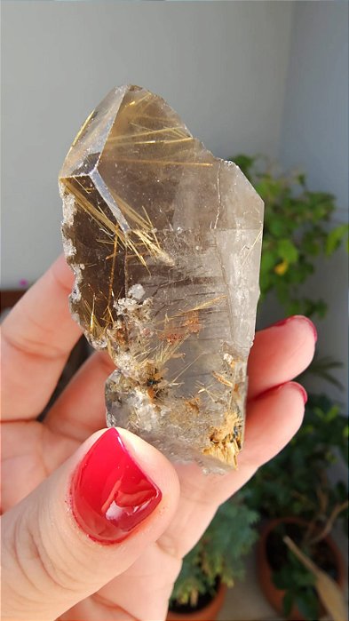 Quartzo com Rutilos Estrela Dourados