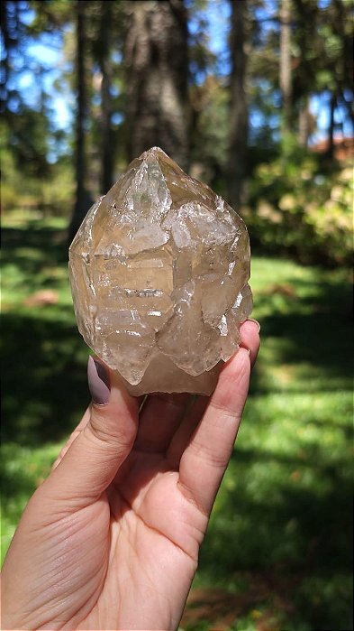 Cetro de Citrino Elestial