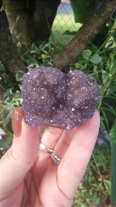 Flor de Ametista Uruguaia