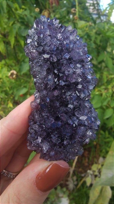 Flor de Ametista Uruguaia