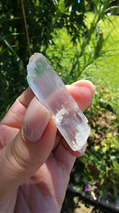 Trifana do Paquistão