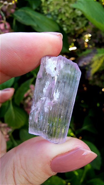 Kunzita do Paquistão