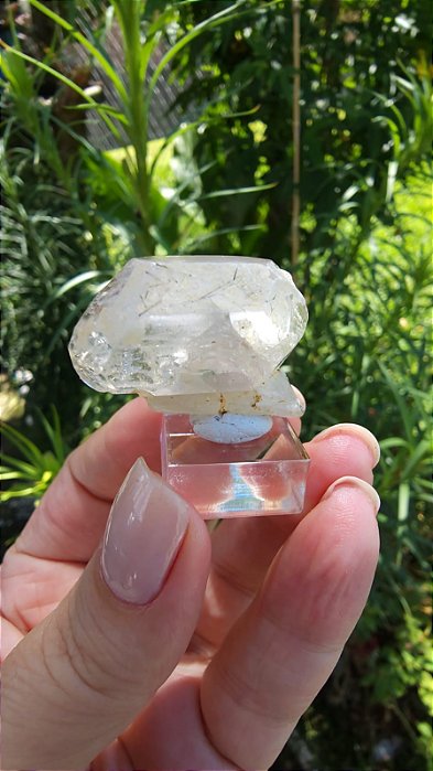 Topázio Champanhe com Rutilos