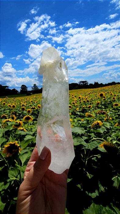 Templo Dévico Autocurado