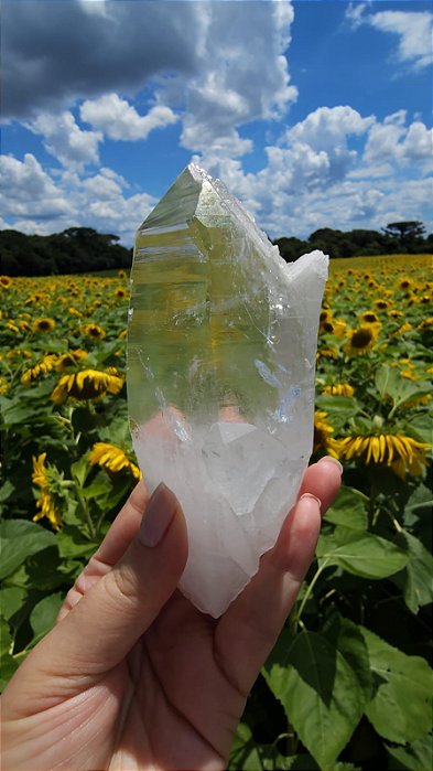 Lemuriano Autocurado