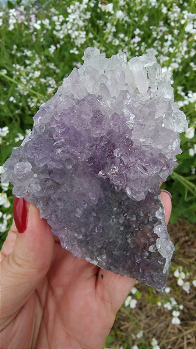 Flor de Ametista