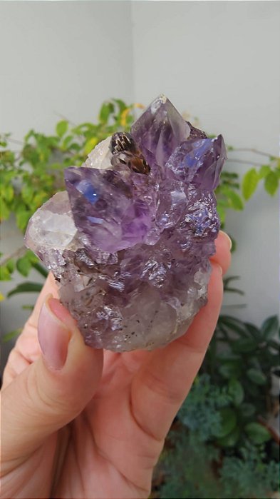 Drusa de Ametista com Goethita