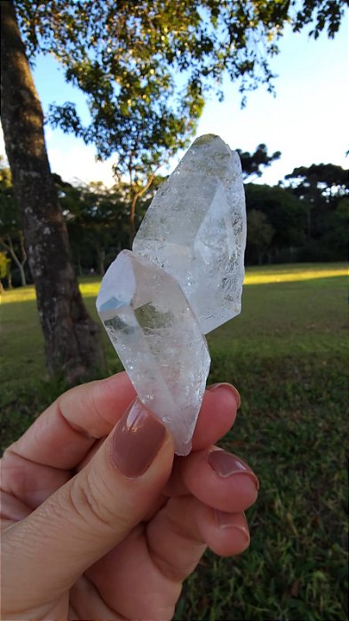 Cristal Arquivista