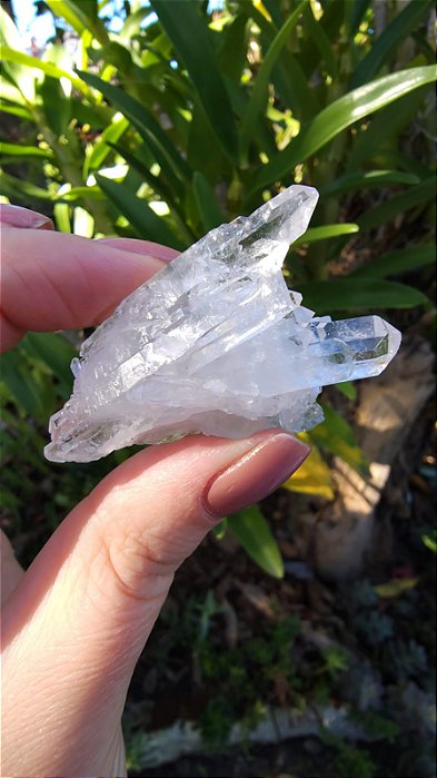 Drusa de Cristal