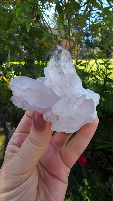 Drusa de Quartzo Rosada