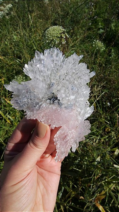 Flor de Cristal