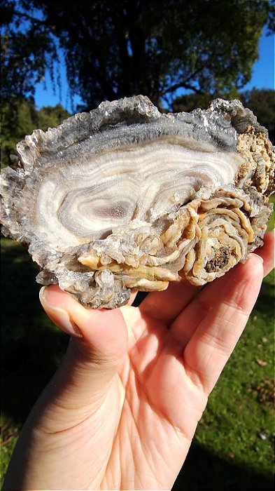 Calcedônia Galáxia