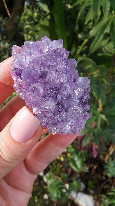 Flor de Ametista Uruguaia