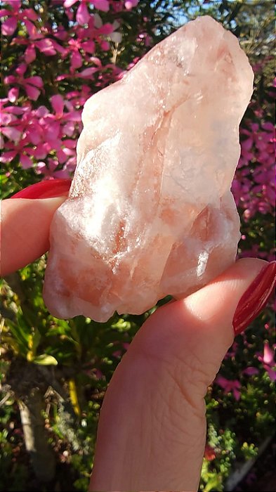 Pink Sugar