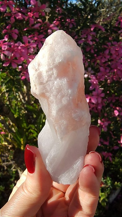 Pink Sugar