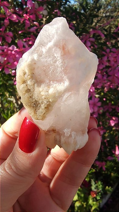 Pink Sugar