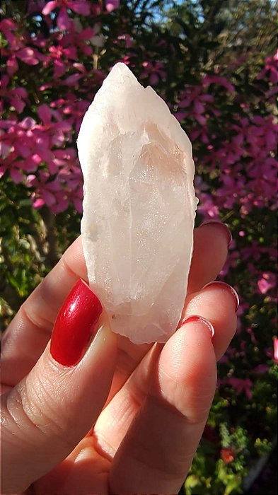 Pink Sugar