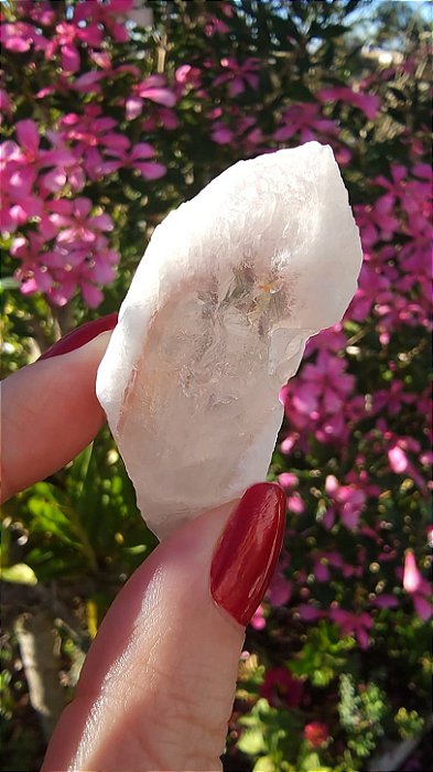 Pink Sugar