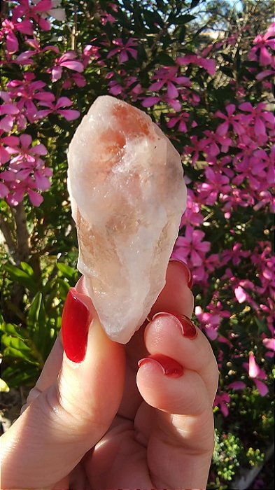 Pink Sugar