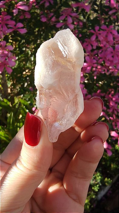 Pink Sugar