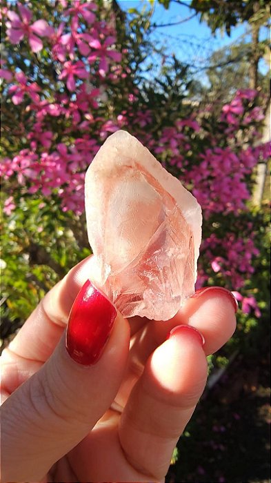 Pink Sugar