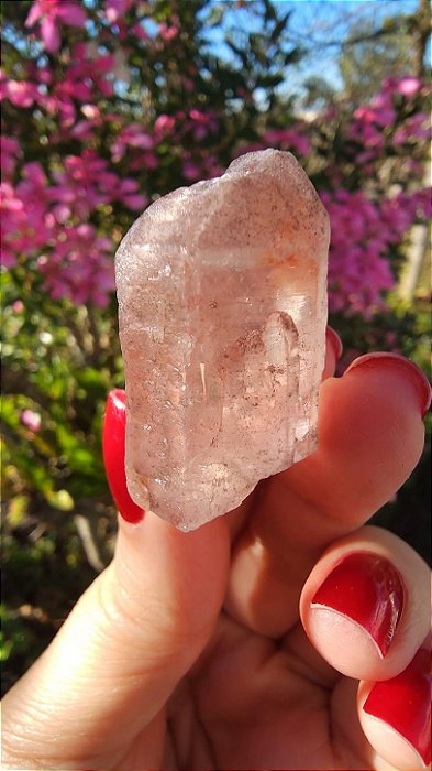 Pink Sugar