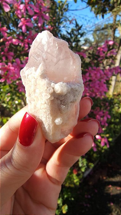 Pink Sugar