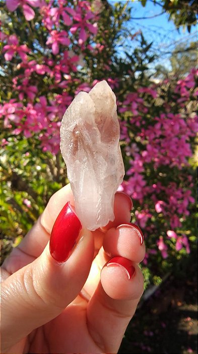 Pink Sugar