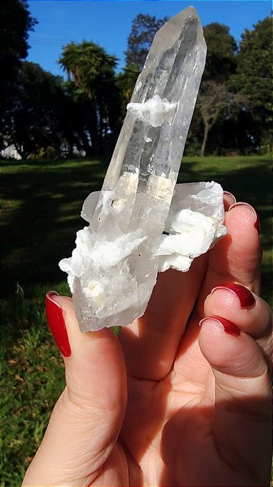 Cristal Interferência com Albita